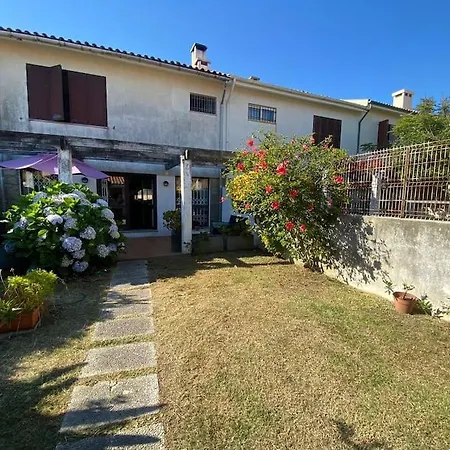 House In Prime Location! *