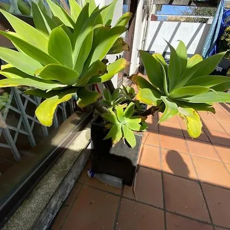 House In Prime Location! * Labruge