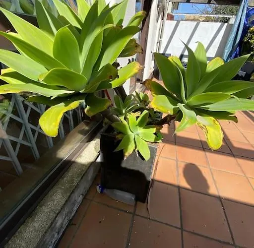 House In Prime Location! * Labruge